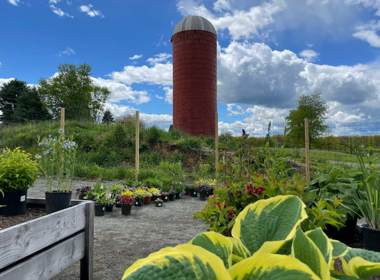 Wagner Farm Arboretum Foundation, United States